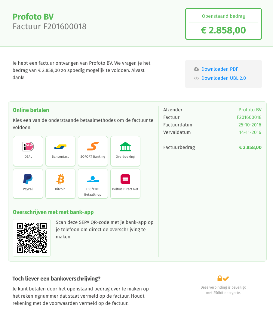 Hoe ziet het online betaalproces - FactuurSturen.nl